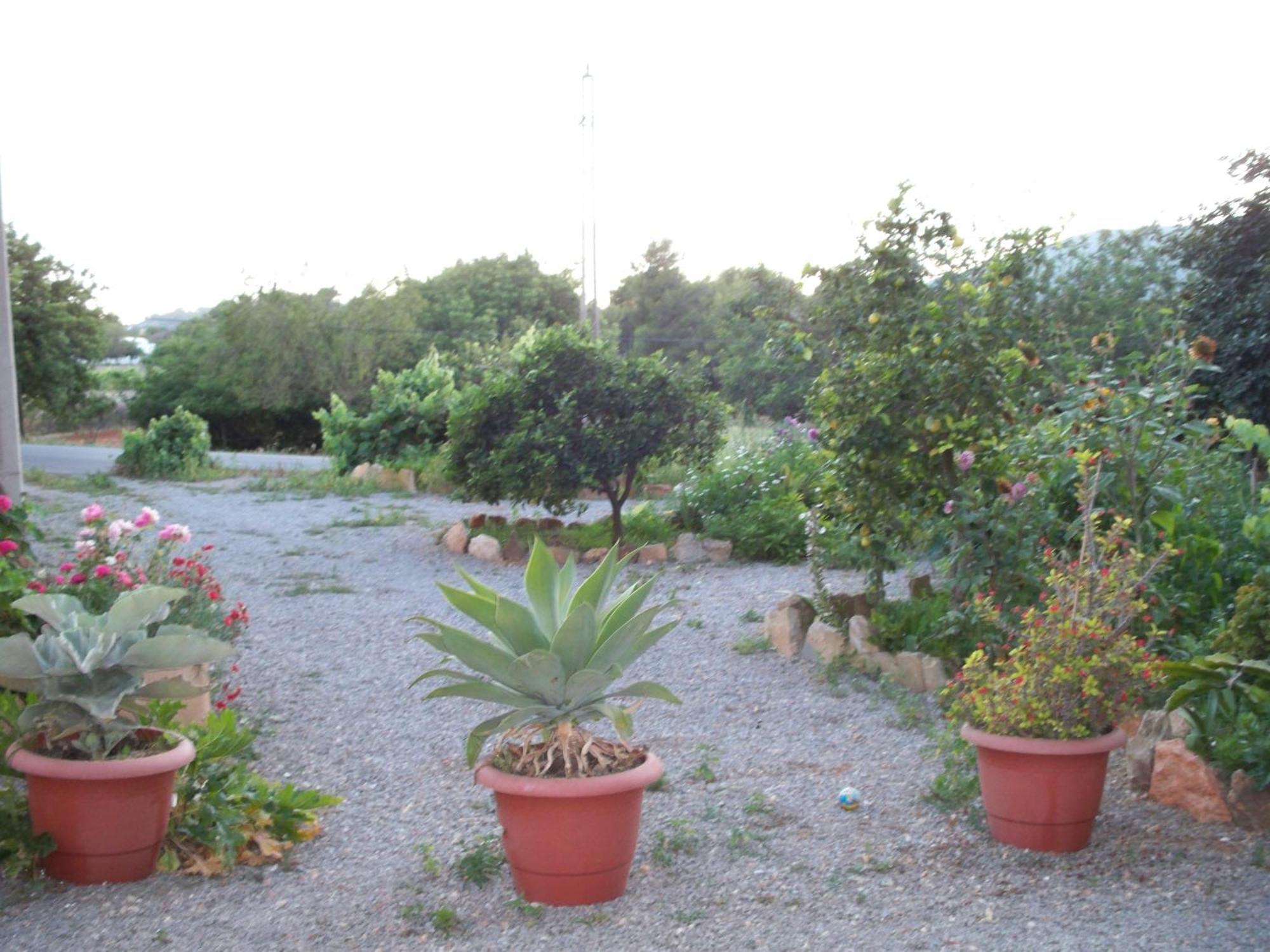 Pension Las Tres Golondrinas Playa DPlaya Des Figueral Extérieur photo